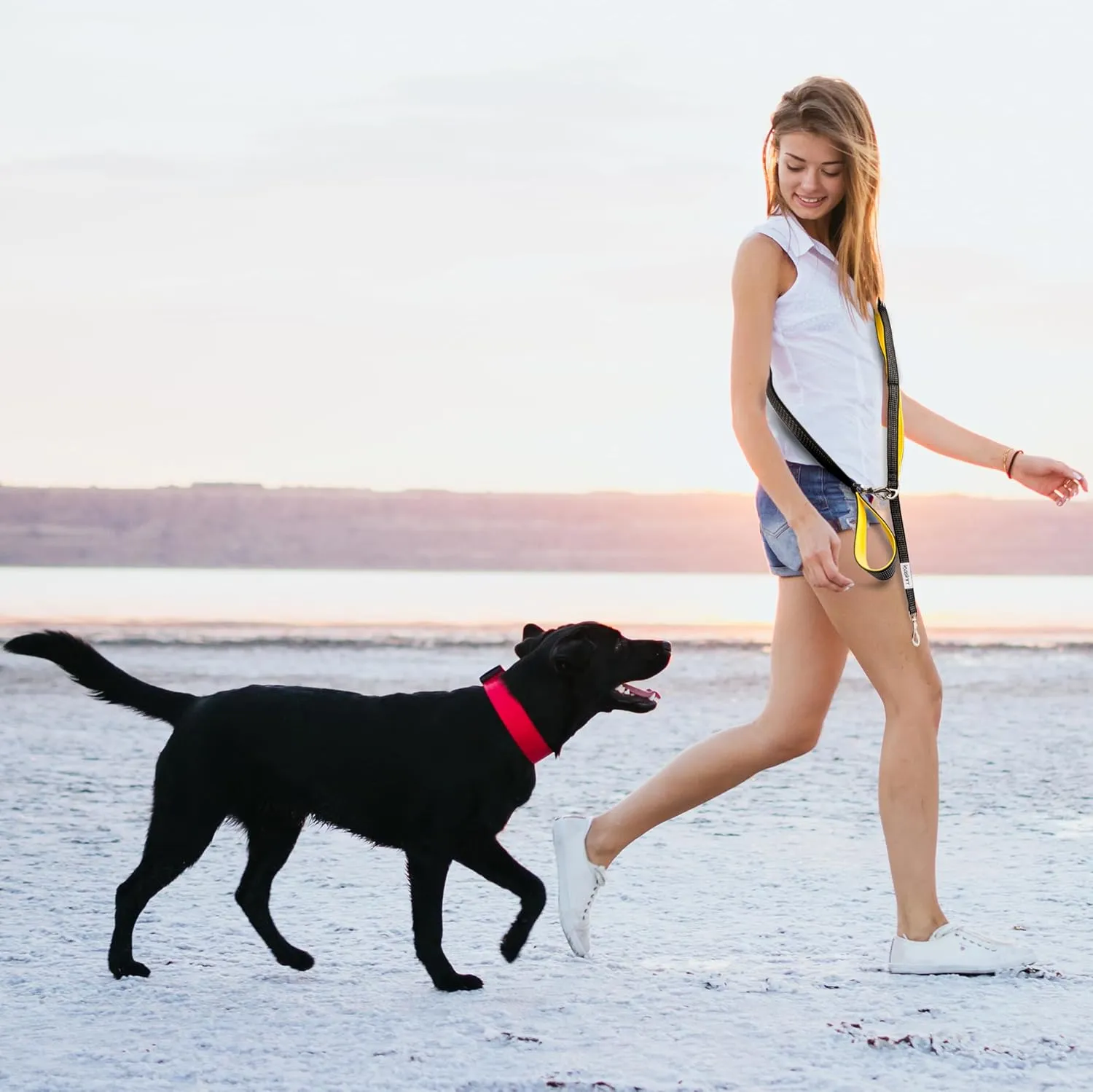 6 ft. Bungee Dog Leash - Heavy Duty, 4 Traffic Handles, Mighty Carabiner Clip   Multi-Use Rings, Poop Bag Holder w/Treat Pouch, Ultra Reflective, No Tug, No Pull for Large Dogs Leashrr 2.0 (Hot Pink)