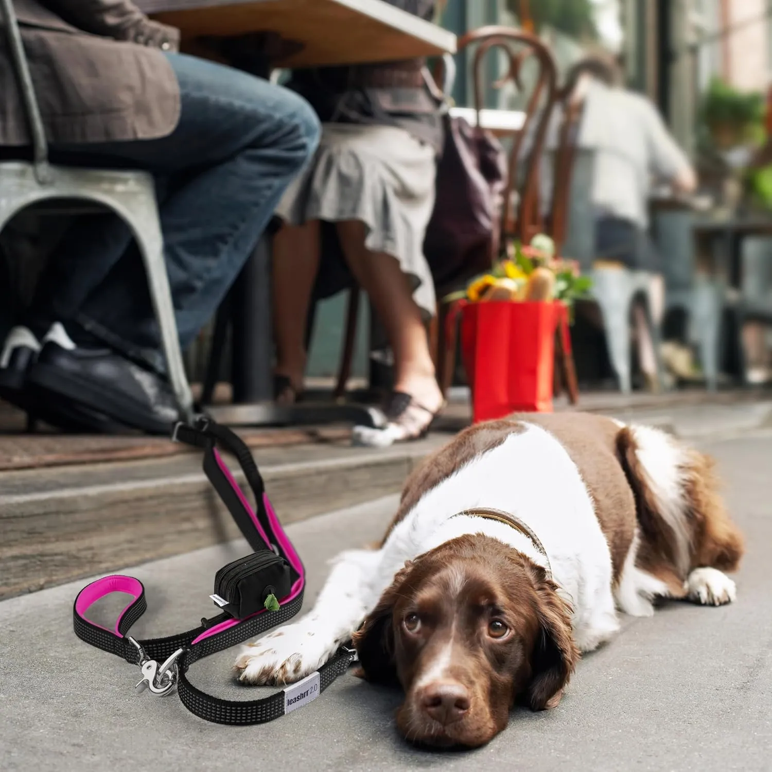 6 ft. Bungee Dog Leash - Heavy Duty, 4 Traffic Handles, Mighty Carabiner Clip   Multi-Use Rings, Poop Bag Holder w/Treat Pouch, Ultra Reflective, No Tug, No Pull for Large Dogs Leashrr 2.0 (Hot Pink)