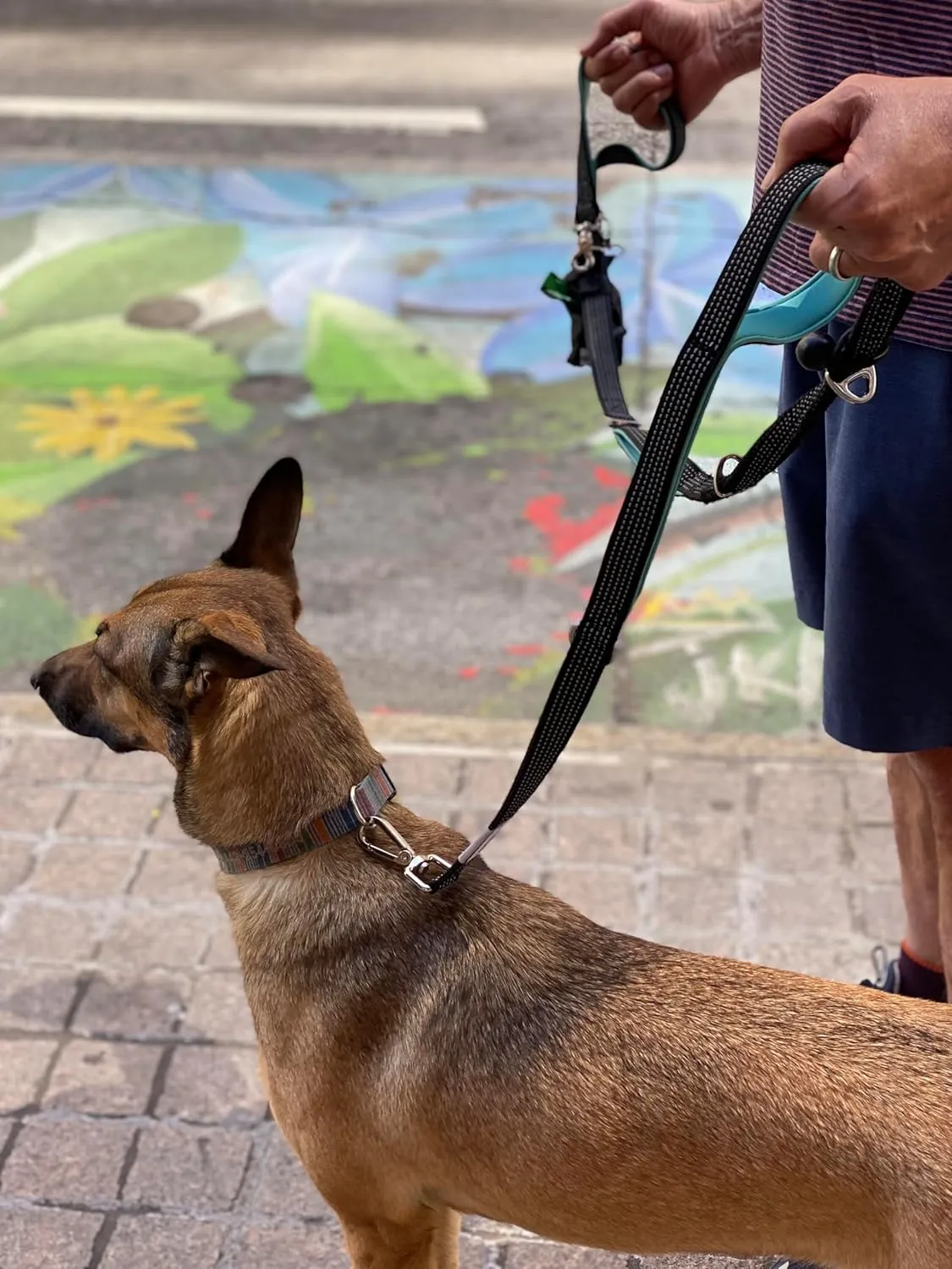 6 ft. Bungee Dog Leash - Heavy Duty, 4 Traffic Handles, Mighty Carabiner Clip   Multi-Use Rings, Poop Bag Holder w/Treat Pouch, Ultra Reflective, No Tug, No Pull for Large Dogs Leashrr 2.0 (Hot Pink)