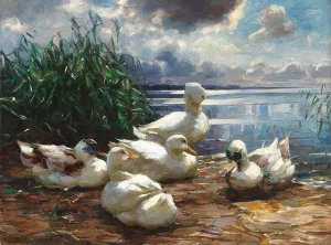 ArtDirect Alexander Koester 18x14 Gold Ornate Frame and Double Matted Museum Art Print Titled - Ducks on Lake Chiemsee in a Brewing Storm