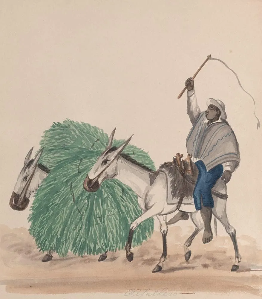 ArtDirect Francisco Fierro 15x17 Gold Ornate Frame and Double Matted Museum Art Print Titled - A Man Riding a Mule, His Whip Raised, Another Mule Loaded with Grass Alongside (ca. 1848)
