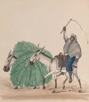 ArtDirect Francisco Fierro 15x17 Gold Ornate Frame and Double Matted Museum Art Print Titled - A Man Riding a Mule, His Whip Raised, Another Mule Loaded with Grass Alongside (ca. 1848)