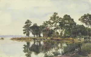 ArtDirect Fritz Hauck 18x13 Gold Ornate Frame and Double Matted Museum Art Print Titled - Tree Strike on the Water, Jacksonville, November 29, 1904