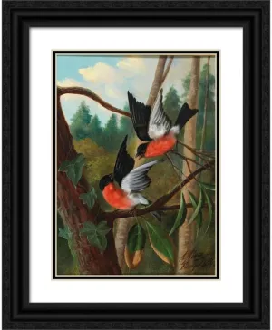 ArtDirect Michelangelo Meucci 18x24 Black Ornate Framed and Double Matted Museum Art Print Titled: Two Birds in a Dispute