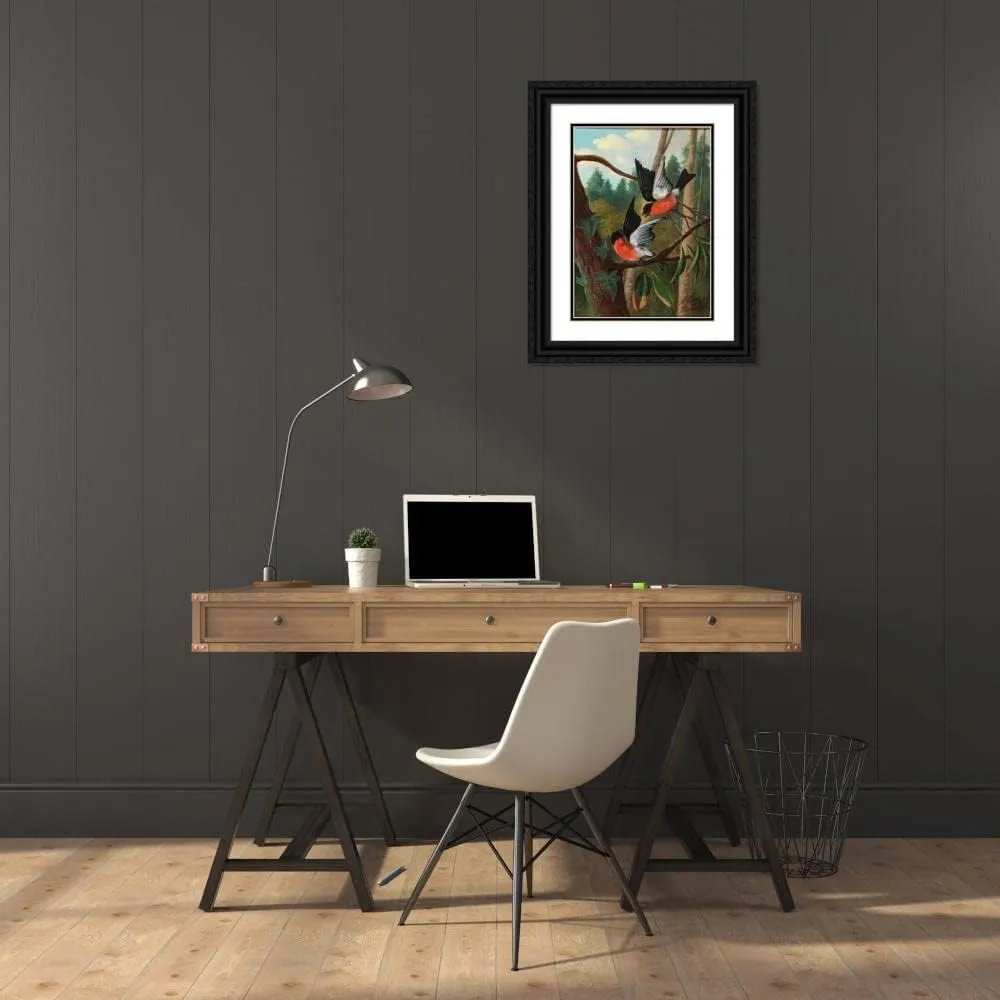 ArtDirect Michelangelo Meucci 18x24 Black Ornate Framed and Double Matted Museum Art Print Titled: Two Birds in a Dispute