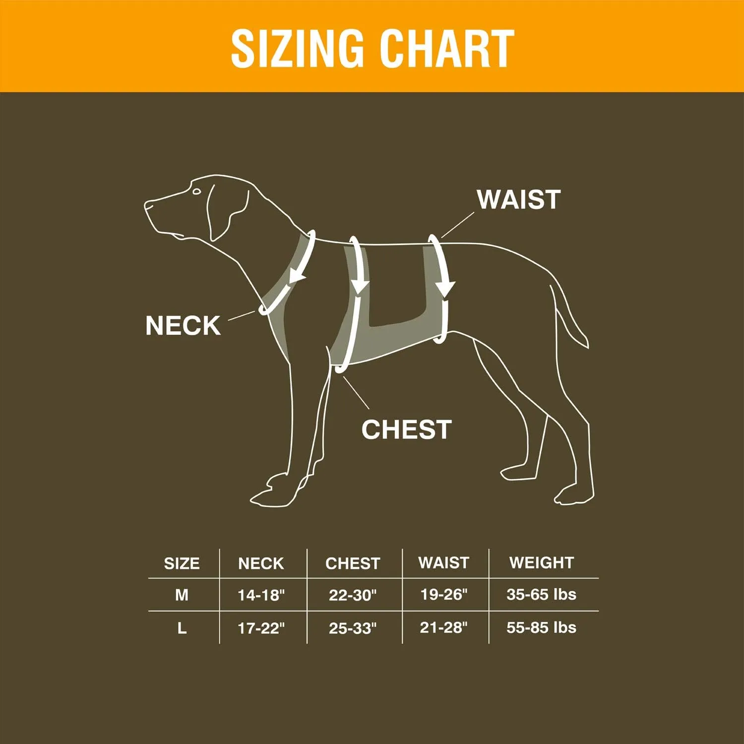 Browning Pet Hi-Vis Safety Vest for Dogs, Safety Orange, Large, Chest Protection