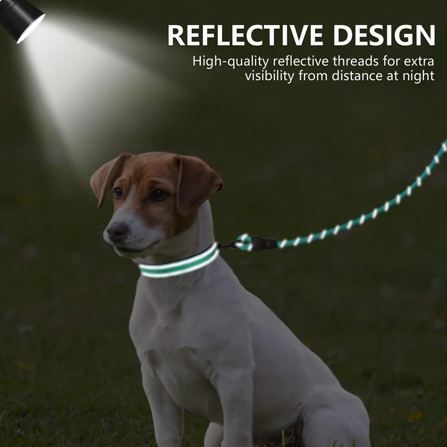 Dynmeow Reflective Dog Collar and Leash Set, 6FT Strong Climbing Rope Leash with Padded Handle, Adjustable Pet Collar with Soft Neoprene Padding for Puppy Small Dogs, Teal, Xs