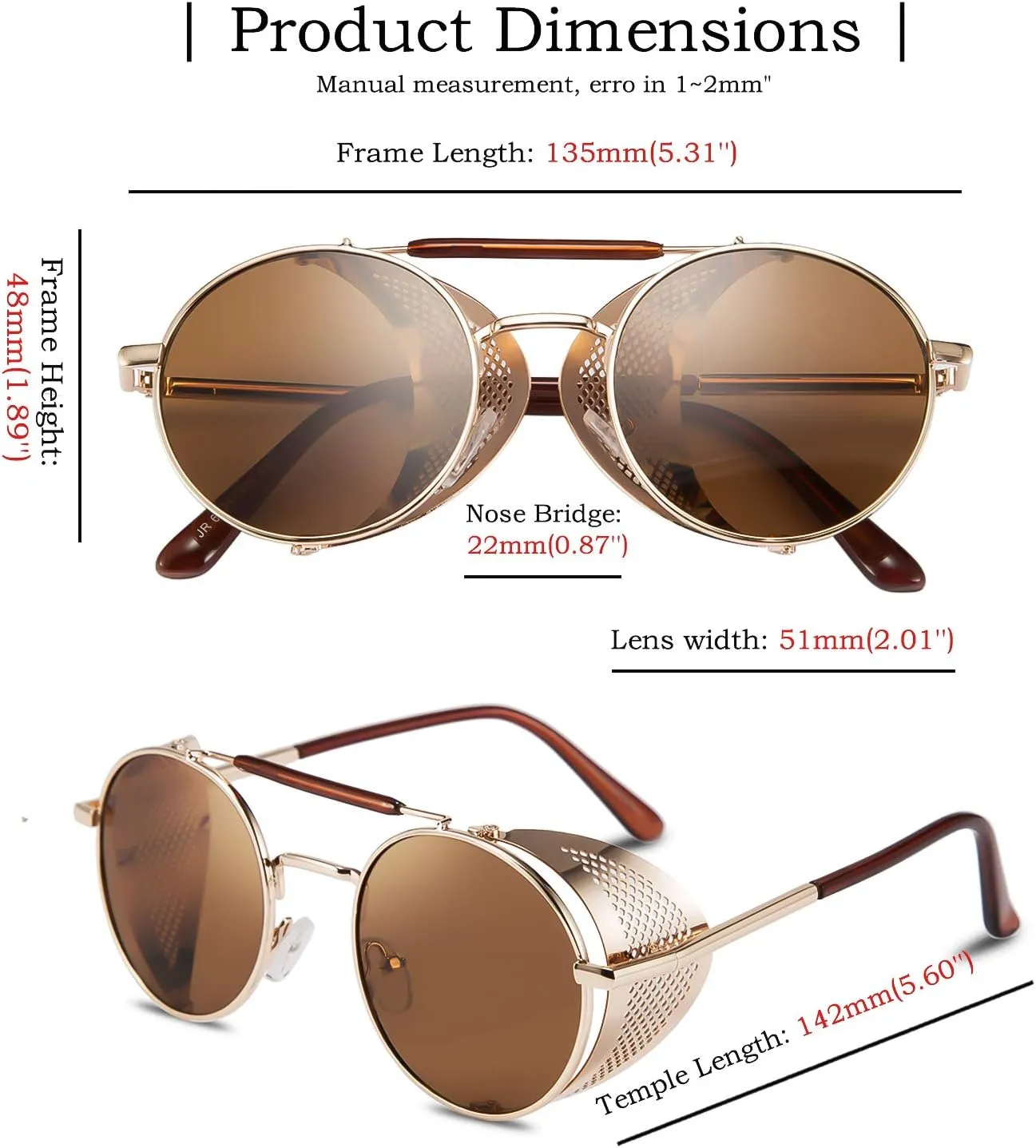 FEISEDY Steam Punk Sunglasses for Men Women Side Shield Round Steampunk Vintage Glasses Shades B2518