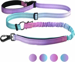 Heavy Duty Hands Free Dog Leash,Dual Handle Bungee Leash for Medium Large Dogs, Bungee Dog Running Waist Leash，Cross Body，Shoulder & Waist with Car Seatbelt