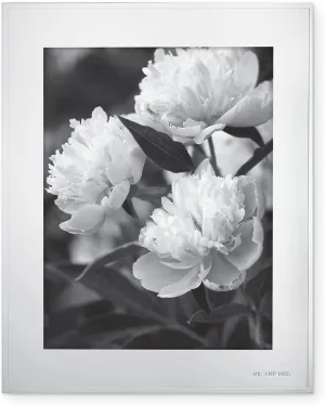 Kate Spade "Darling Point" Silverplate 8" x 10" Photo Frame