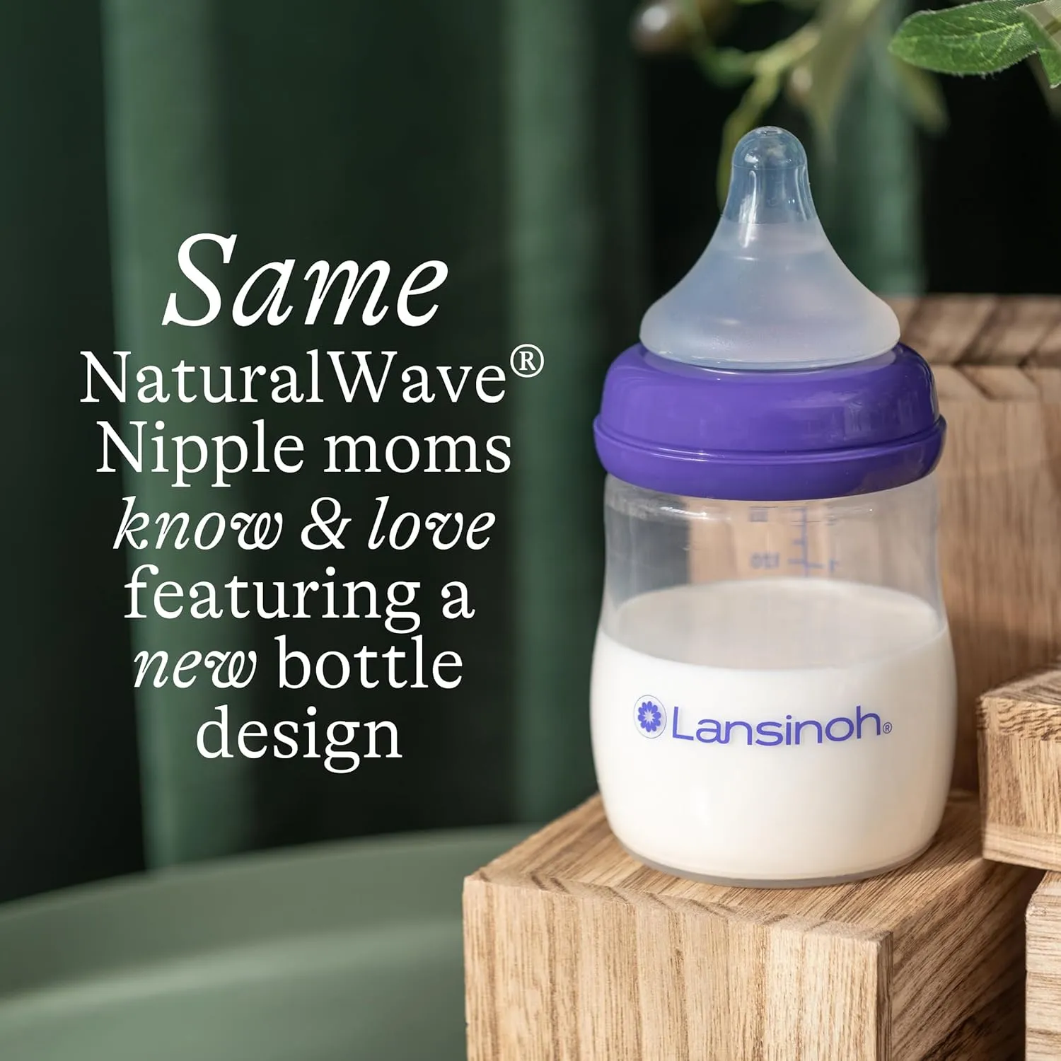 Lansinoh Anti-Colic Baby Bottles for Breastfeeding Babies, 5 Ounces, 3 Count, Includes 3 Slow Flow Nipples, Size S