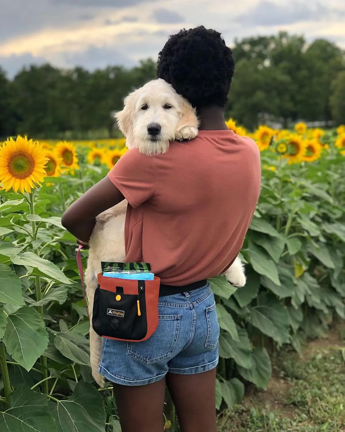 OllyDog Backcountry Day Bag | Hands-Free Dog Training Treat Pouch | Fanny/Hip Pack with Zipper Closure & Built-in Poop Bag Dispenser | Removable Waist Clip (Cider)