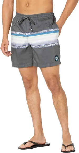 Quiksilver Men's Standard 17 Inch Elastic Waist Swim Trunk Bathing Suit Short