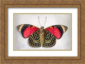 Reynolds, Richard 24x19 Gold Ornate Frame and Double Matted Museum Art Print Titled Claudina Agrias - Underside