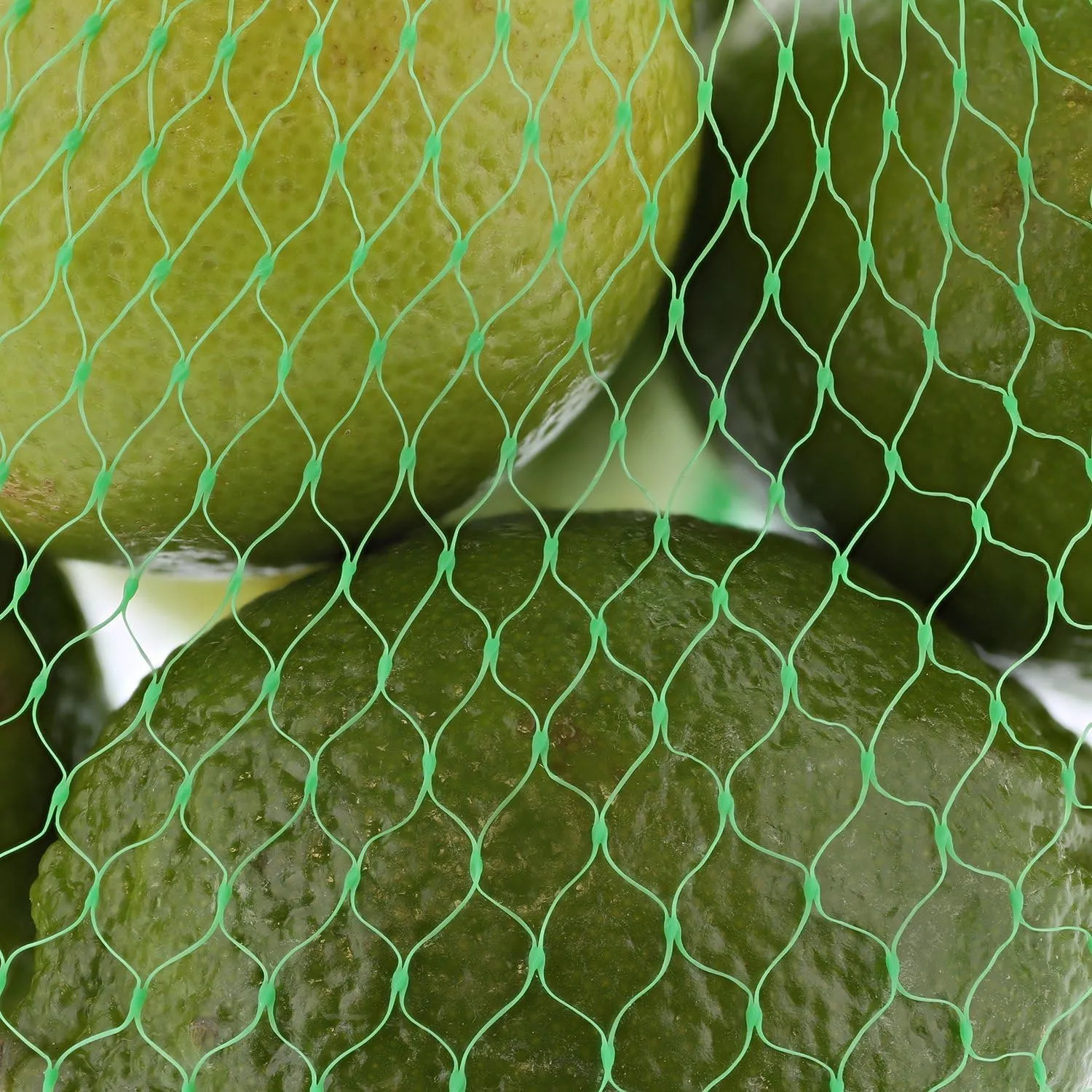 Royal Green Plastic Mesh Produce and Seafood Bag, 24 Inch, Package of 1000